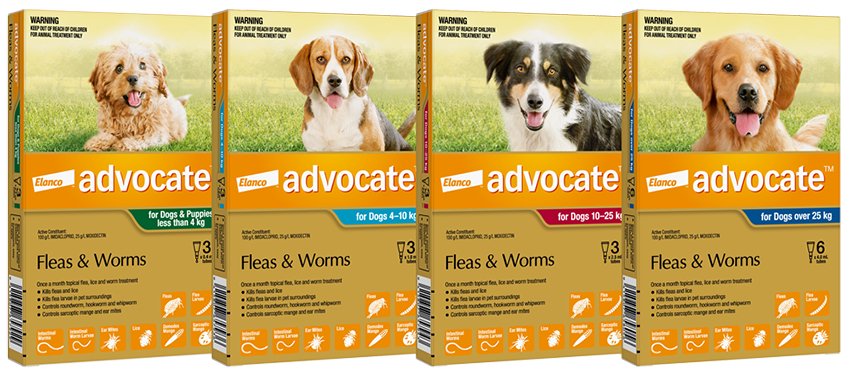 Advocate Topical Flea and Worm Treatment for Dogs - Tuck In Healthy Pet Food & Animal Natural Health Supplies