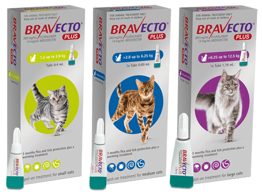 Bravecto Plus Flea, Tick, & Worm Spot - On Treatment for Cats - Tuck In Healthy Pet Food & Animal Natural Health Supplies