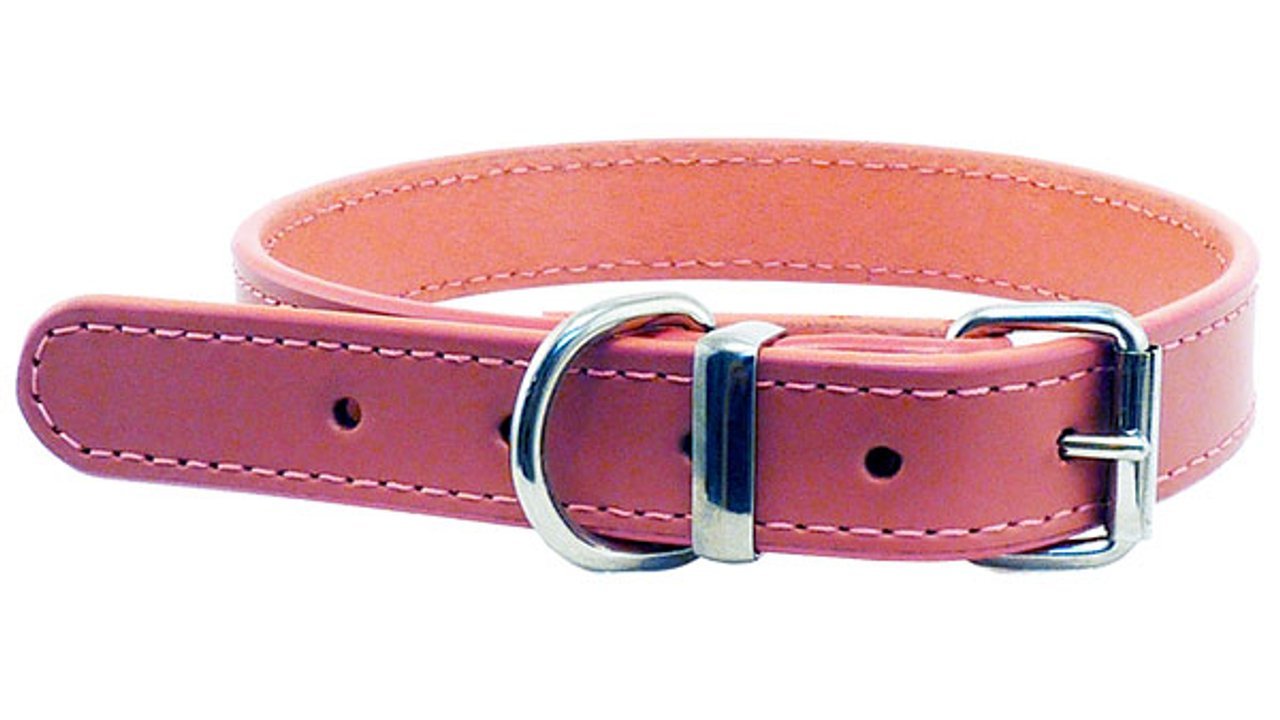 Deluxe Leather Collar - 32mm x 65cm - Tuck In Healthy Pet Food & Animal Natural Health Supplies