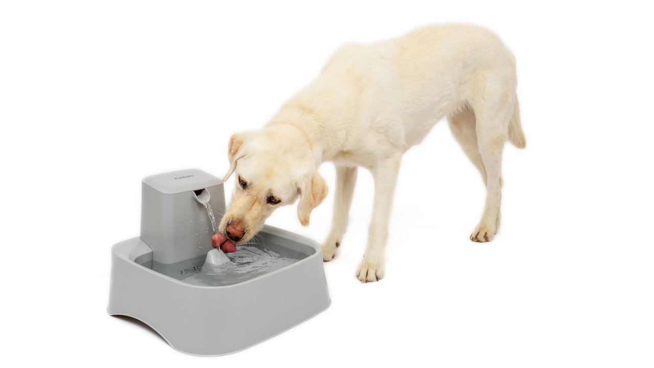 Drinkwell Pet Fountain 7.5L - Tuck In Healthy Pet Food & Animal Natural Health Supplies