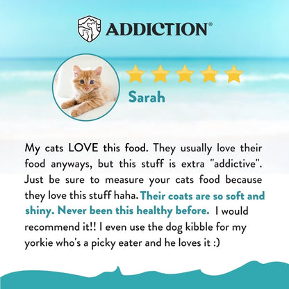 Addiction Salmon Bleu Cat, Complete & Balanced, Skin & Coat Dry Cat Food - Food - Dry - Tuck In Healthy Pet Food & Animal Natural Health Supplies