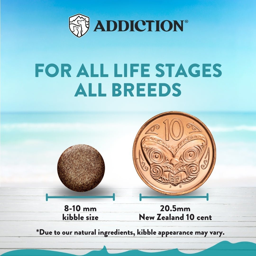 Addiction Salmon Bleu Cat, Complete & Balanced, Skin & Coat Dry Cat Food - Food - Dry - Tuck In Healthy Pet Food & Animal Natural Health Supplies