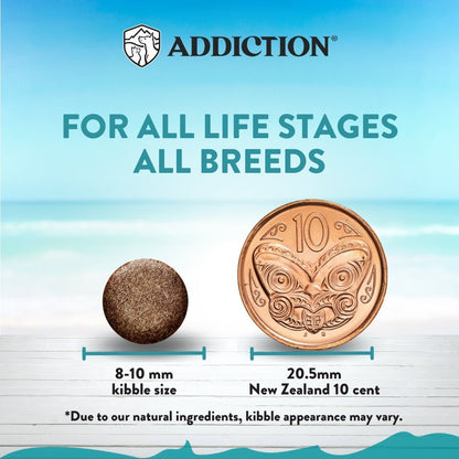 Addiction Salmon Bleu Cat, Complete & Balanced, Skin & Coat Dry Cat Food - Food - Dry - Tuck In Healthy Pet Food & Animal Natural Health Supplies