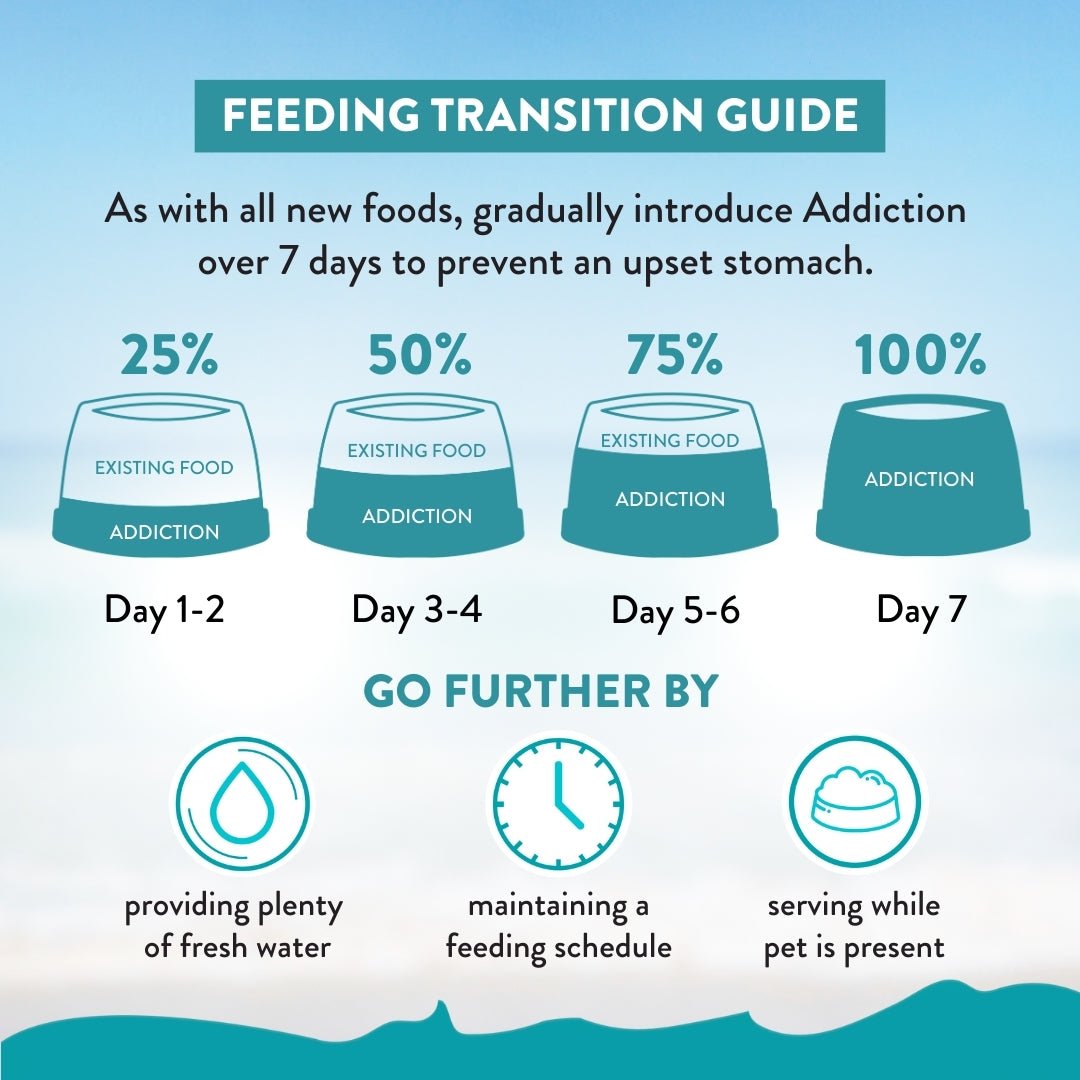 Addiction Salmon Bleu Cat, Complete & Balanced, Skin & Coat Dry Cat Food - Food - Dry - Tuck In Healthy Pet Food & Animal Natural Health Supplies