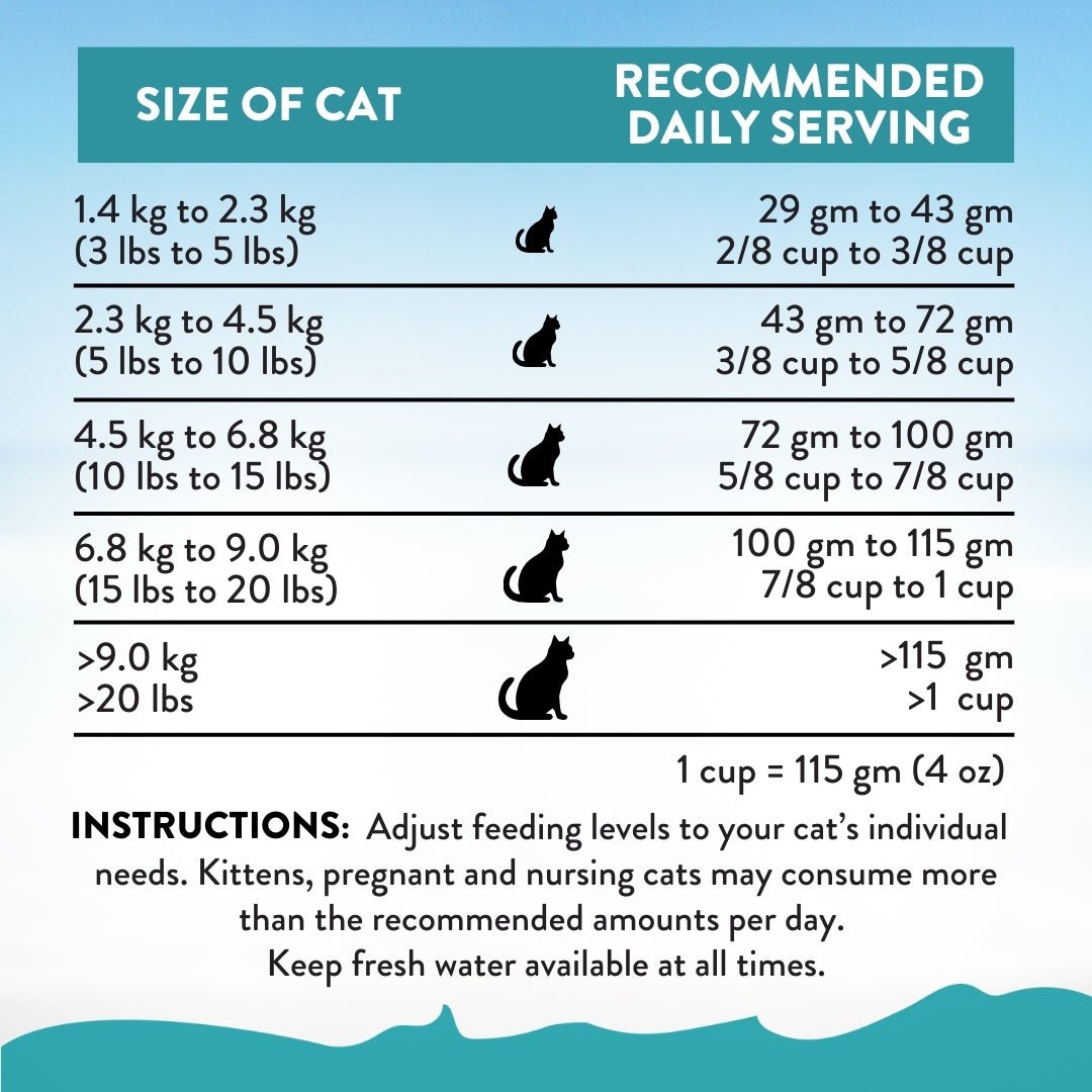 Addiction Salmon Bleu Cat, Complete & Balanced, Skin & Coat Dry Cat Food - Food - Dry - Tuck In Healthy Pet Food & Animal Natural Health Supplies