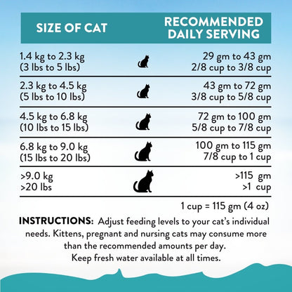 Addiction Salmon Bleu Cat, Complete & Balanced, Skin & Coat Dry Cat Food - Food - Dry - Tuck In Healthy Pet Food & Animal Natural Health Supplies