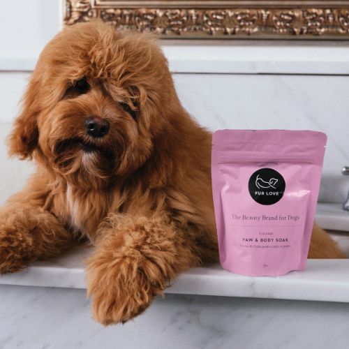 Fur Love Coconut Paw & Body Soak for Dogs - 350g - Tuck In Healthy Pet Food & Animal Natural Health Supplies