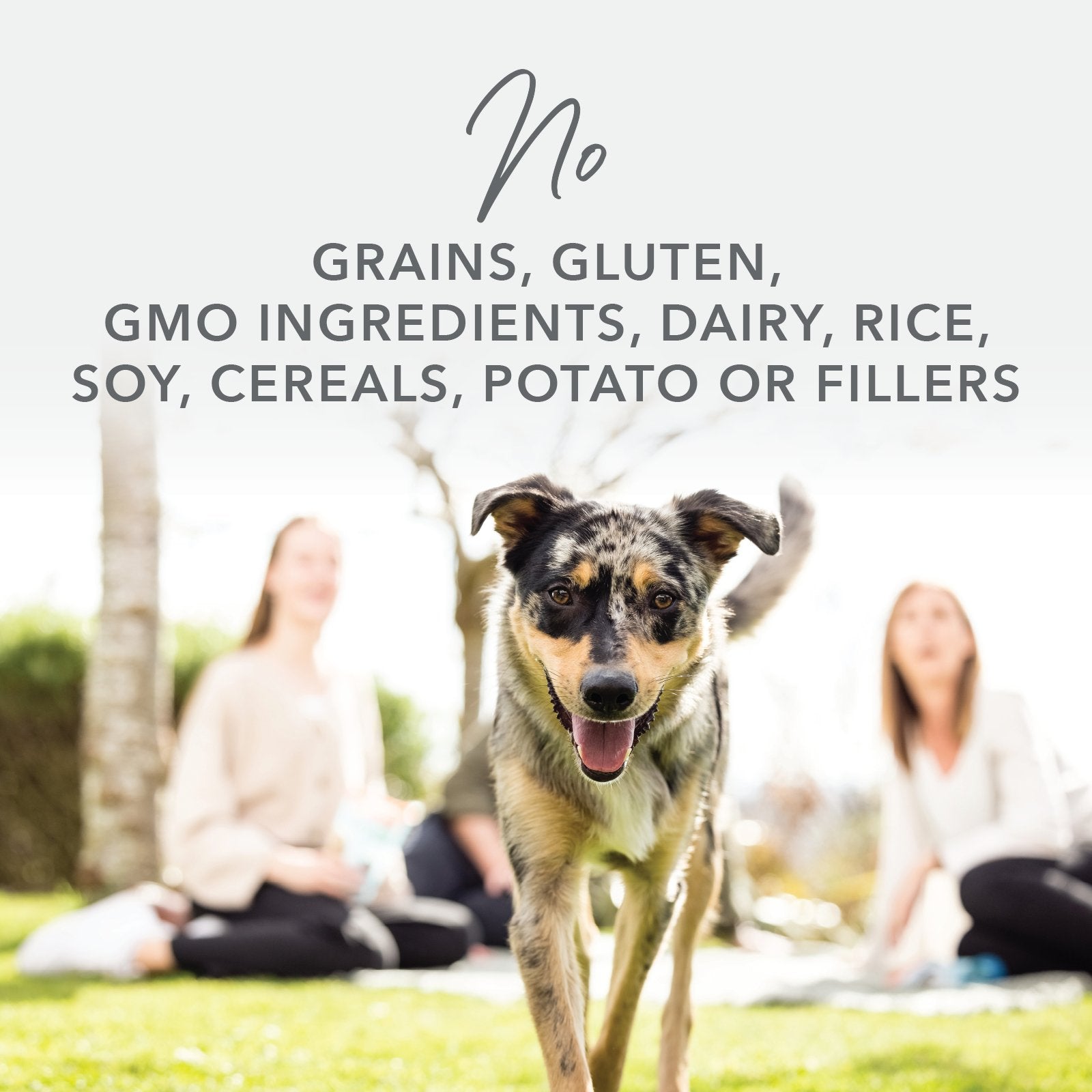 K9 Natural Grain-Free Freeze-Dried Dog Food - Hoki & Beef - Tuck In Healthy Pet Food & Animal Natural Health Supplies