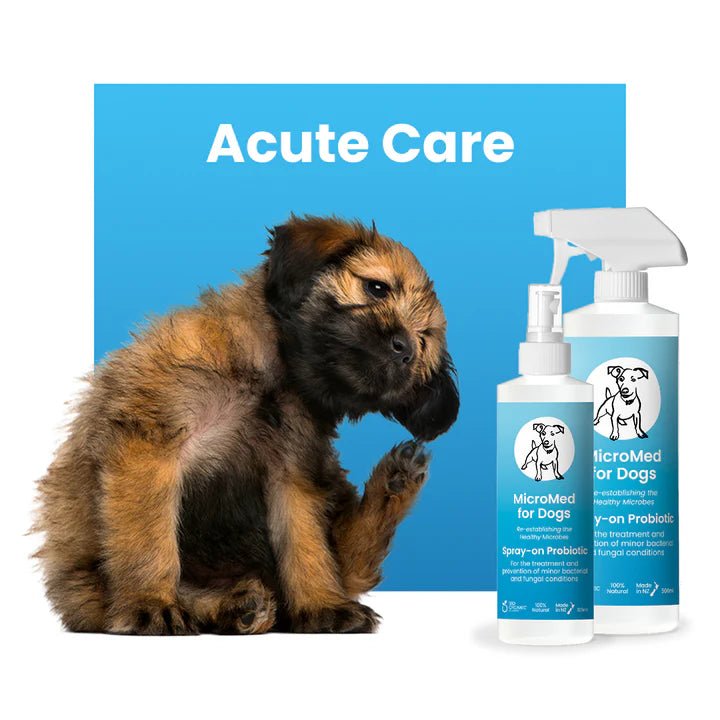 MicroMed Acute Care Topical Probiotic for Dogs - Tuck In Healthy Pet Food & Animal Natural Health Supplies