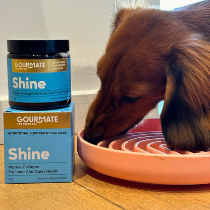 Gourmate Shine: Marine Collagen for Inner and Outer Health - OTC - Tuck In Healthy Pet Food & Animal Natural Health Supplies
