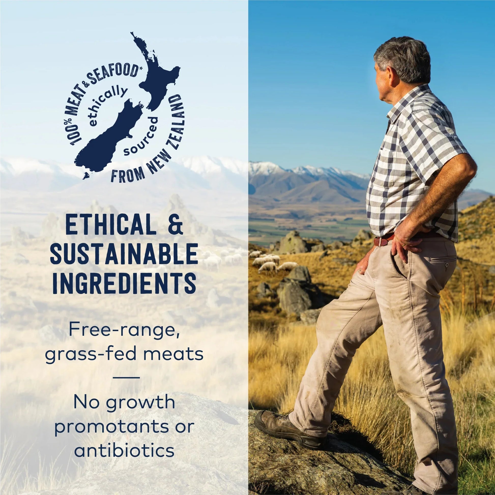 ZIWI Peak® Promise Ethical & Sustainable Ingredients - Free-Range Grass-Fed - Man Admiring New Zealand Scenery -Warkworth