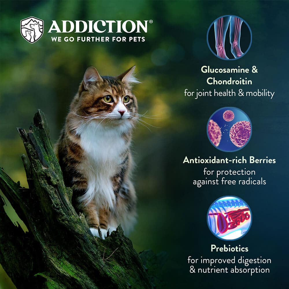 Addiction Chicken Supreme Adult Cat, Complete & Balanced, Immune Boost Dry Cat Food - Tuck In Healthy Pet Food & Animal Natural Health Supplies