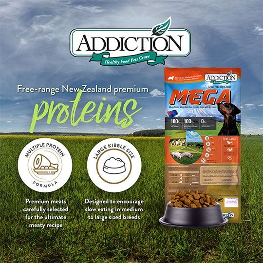 Addiction MEGA, Complete & Balanced, Lamb & Beef Dry Dog Food for Medium to Large Dog - Tuck In Healthy Pet Food & Animal Natural Health Supplies