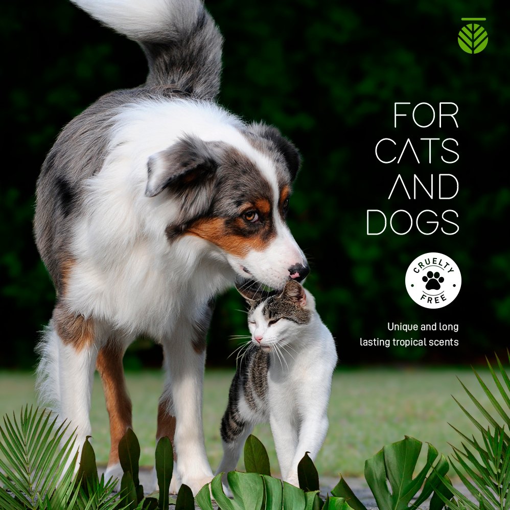 Amazonia Detangler - Tuck In Healthy Pet Food & Animal Natural Health Supplies