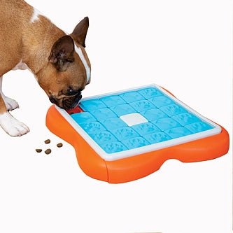 Challenge Slider Dog Puzzle - Tuck In Healthy Pet Food & Animal Natural Health Supplies