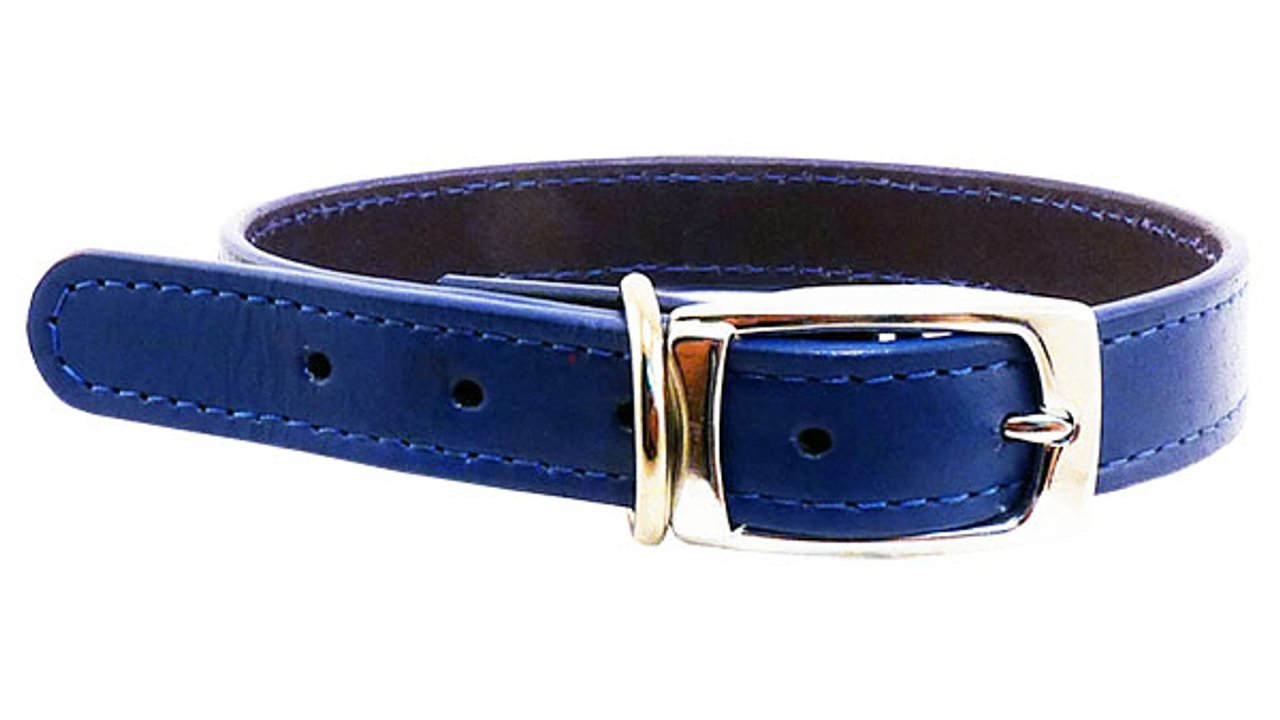Deluxe Leather Collar - 12mm x 35cm - Tuck In Healthy Pet Food & Animal Natural Health Supplies
