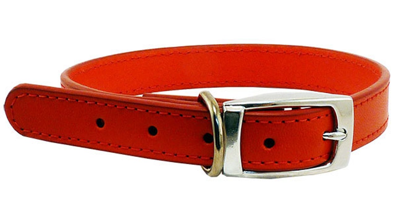 Deluxe Leather Collar - 18mm x 45cm - Tuck In Healthy Pet Food & Animal Natural Health Supplies