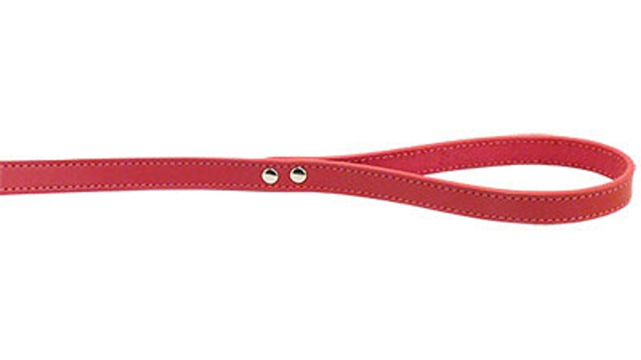 Deluxe Leather Lead - 16mm x 100cm - Tuck In Healthy Pet Food & Animal Natural Health Supplies