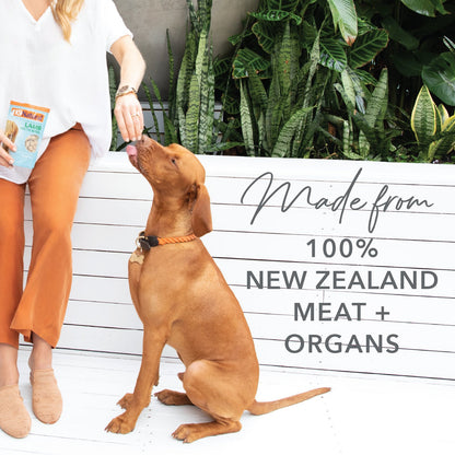 K9 Natural Grain-Free Freeze-Dried Dog Treats, Beef Bites 50g - Tuck In Healthy Pet Food & Animal Natural Health Supplies