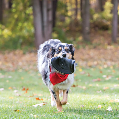 Kong Extreme Flyer - Tuck In Healthy Pet Food & Animal Natural Health Supplies