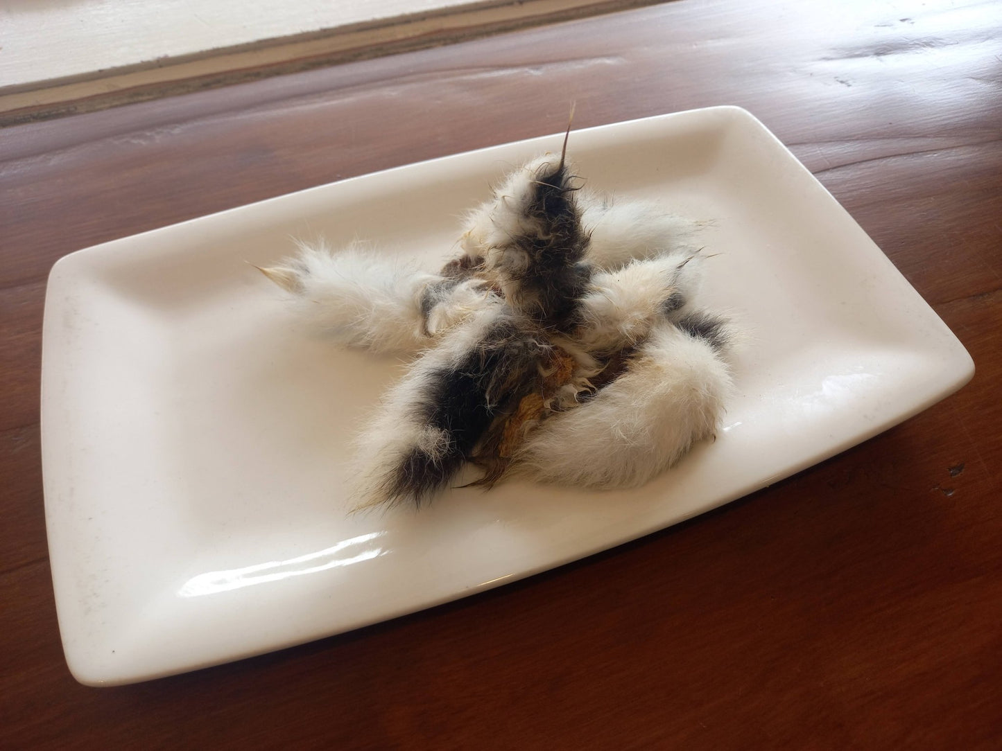Matakana Rabbit Tail - Tuck In Healthy Pet Food & Animal Natural Health Supplies