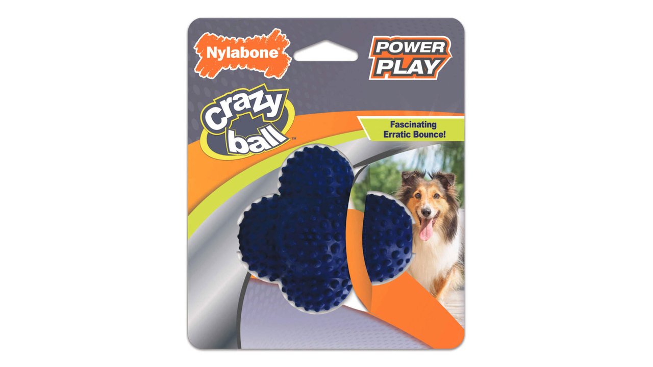 Nylabone Dental Crazy Ball - Tuck In Healthy Pet Food & Animal Natural Health Supplies