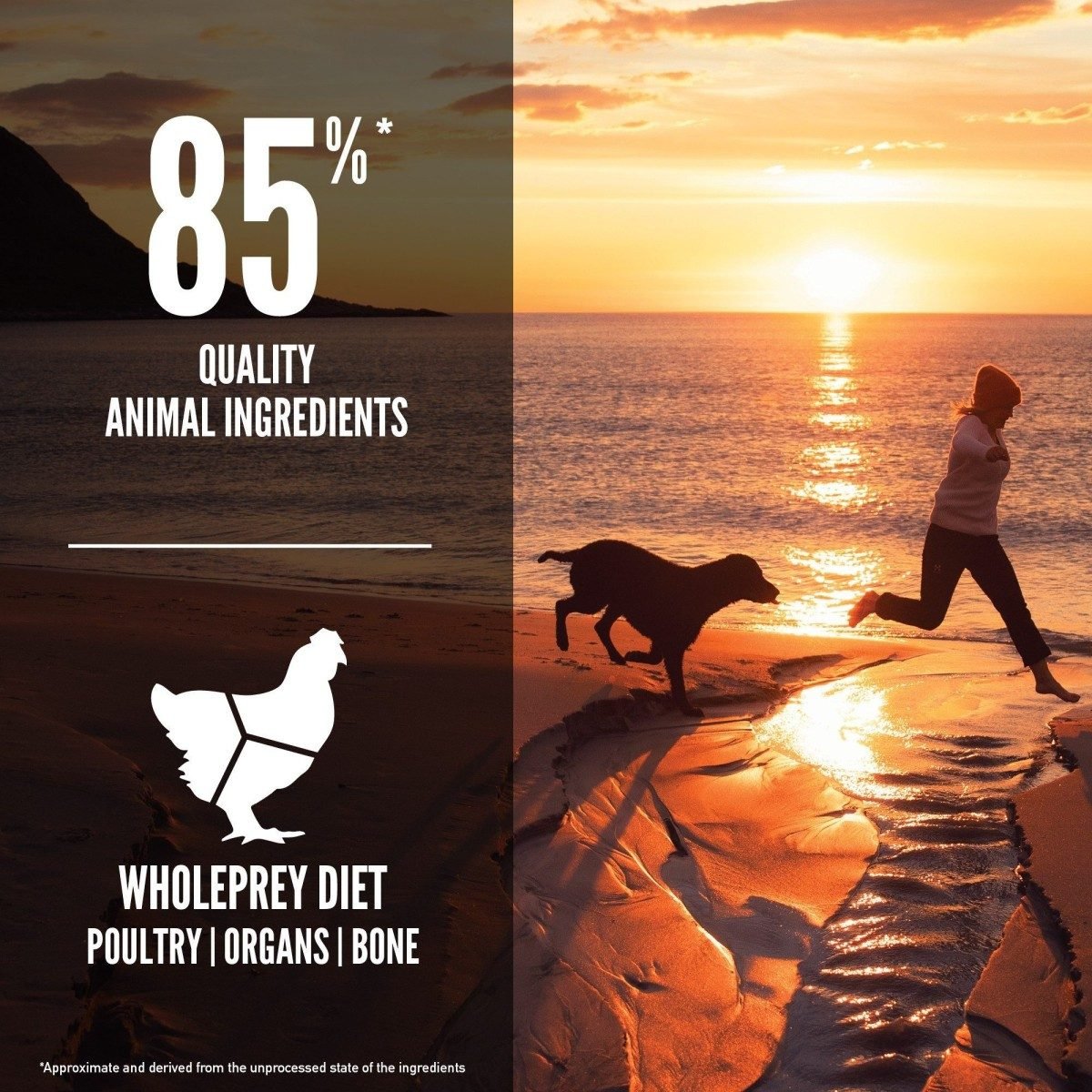 Orijen Fit & Trim Dog Food - Tuck In Healthy Pet Food & Animal Natural Health Supplies