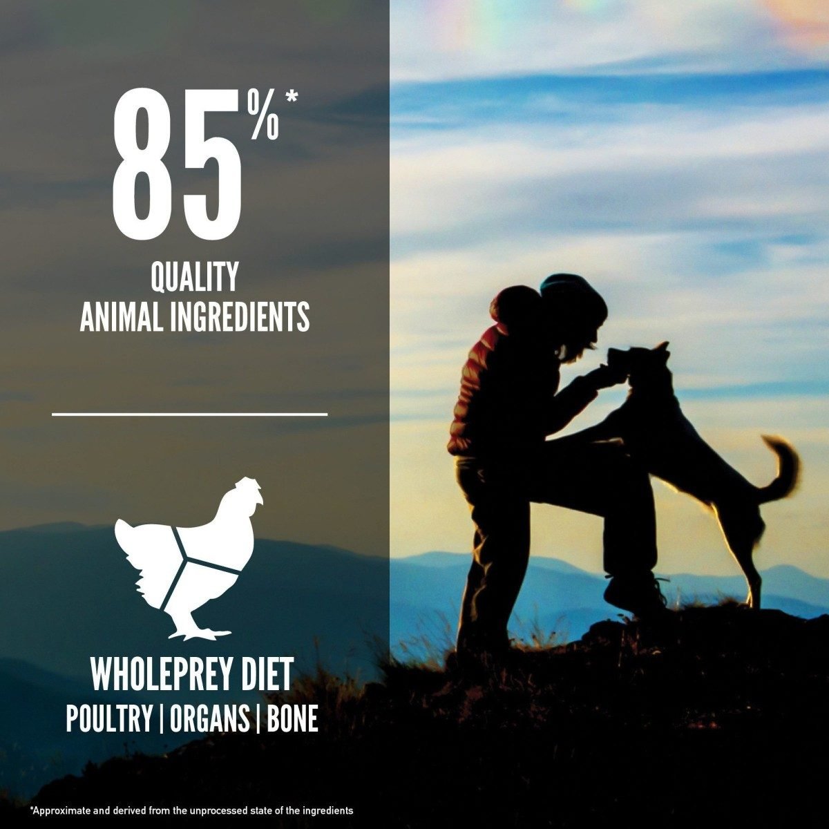 Orijen Original Dog - Tuck In Healthy Pet Food & Animal Natural Health Supplies