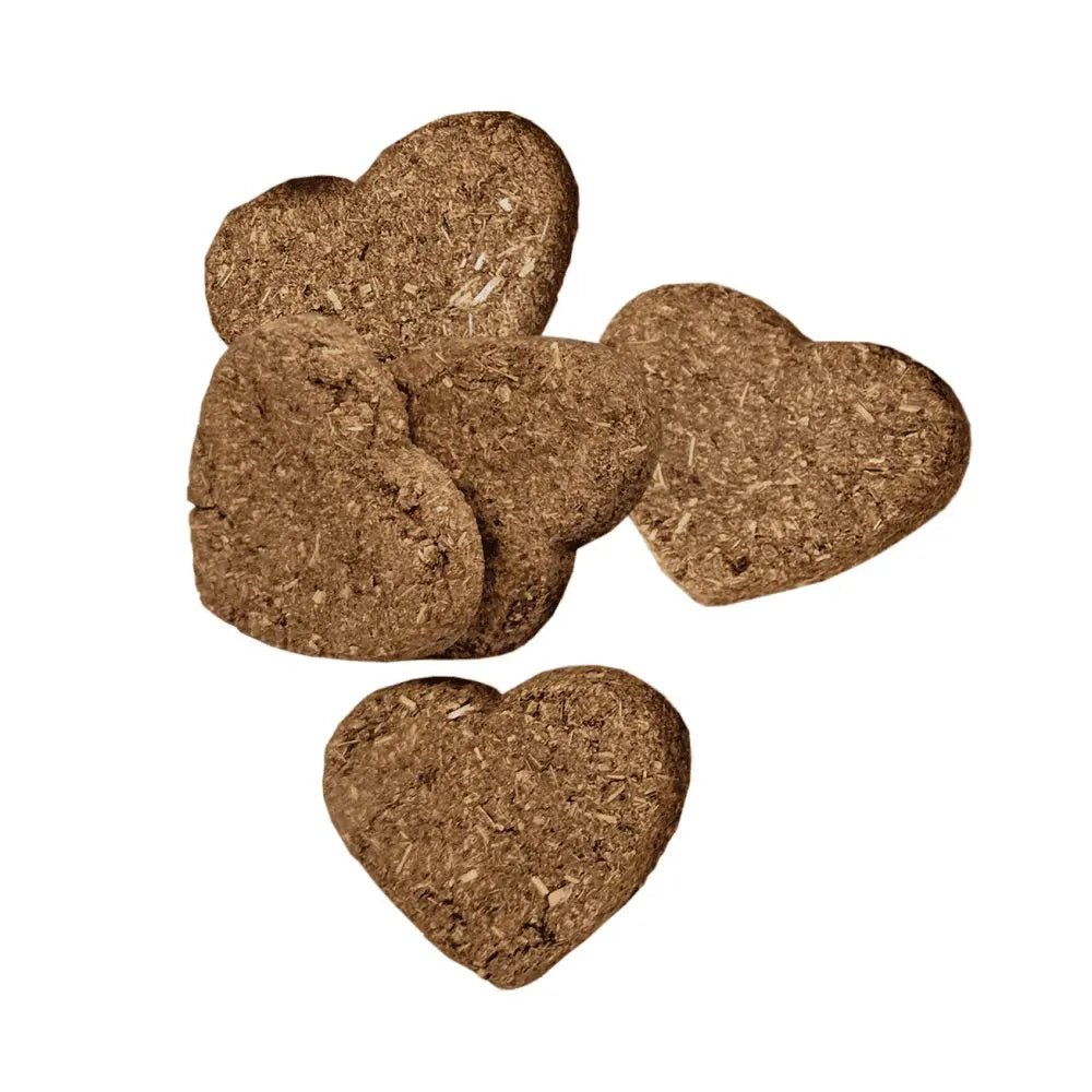 Oxbow Simple Rewards Baked Treat with Carrot & Dill - Tuck In Healthy Pet Food & Animal Natural Health Supplies