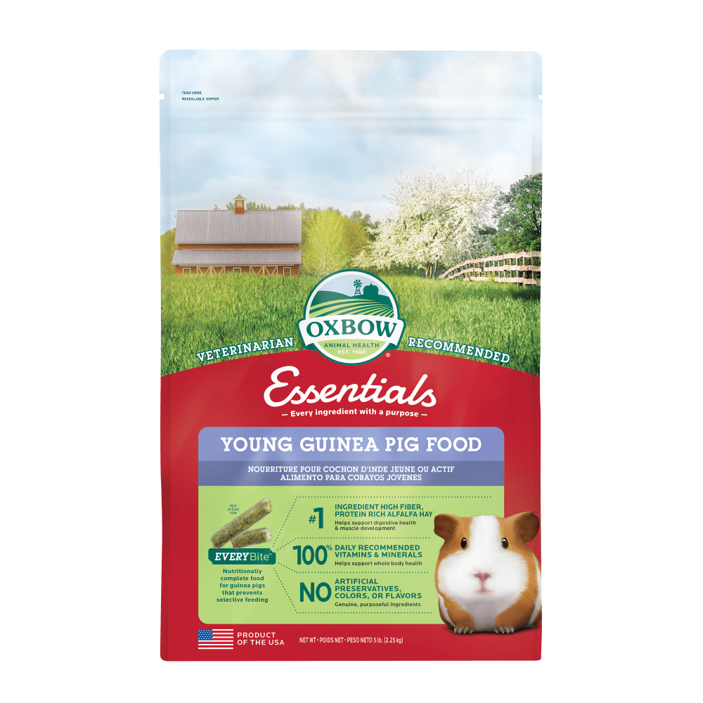 Oxbow Young Guinea Pig Food - 2.25kg - Tuck In Healthy Pet Food & Animal Natural Health Supplies