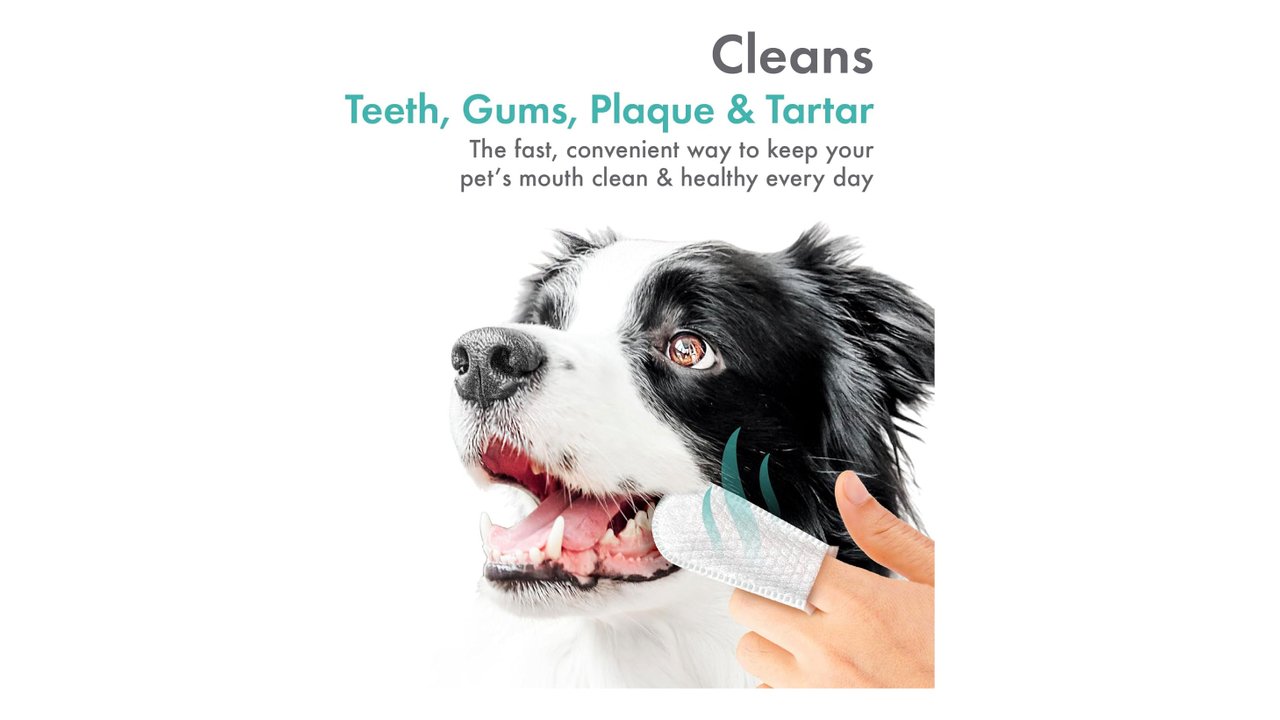 Petkin Fingertip Tooth Wipes For Dogs and Cats - Tuck In Healthy Pet Food & Animal Natural Health Supplies