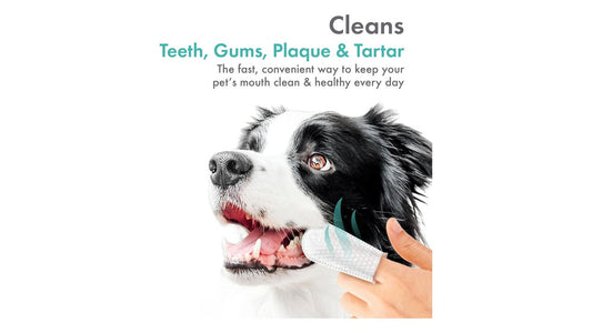 Petkin Fingertip Tooth Wipes For Dogs and Cats - Tuck In Healthy Pet Food & Animal Natural Health Supplies