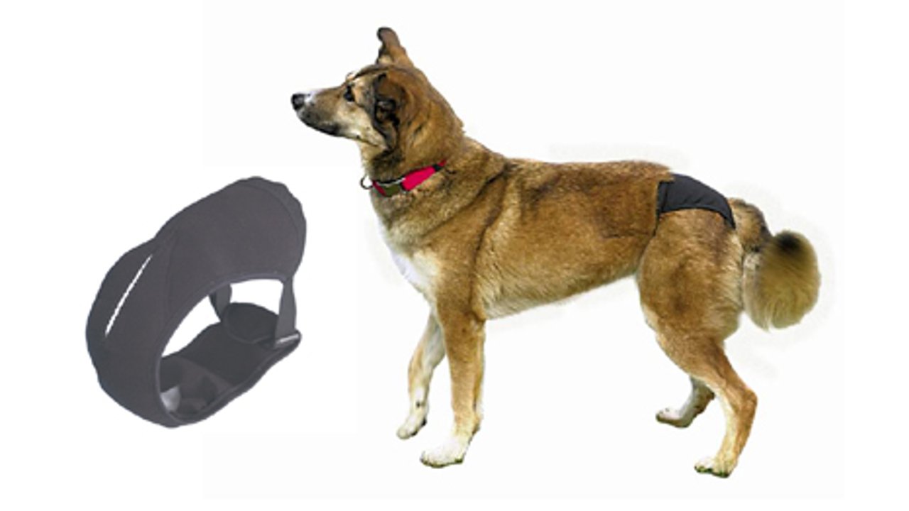 Protective Pants for Dogs in Season - Tuck In Healthy Pet Food & Animal Natural Health Supplies