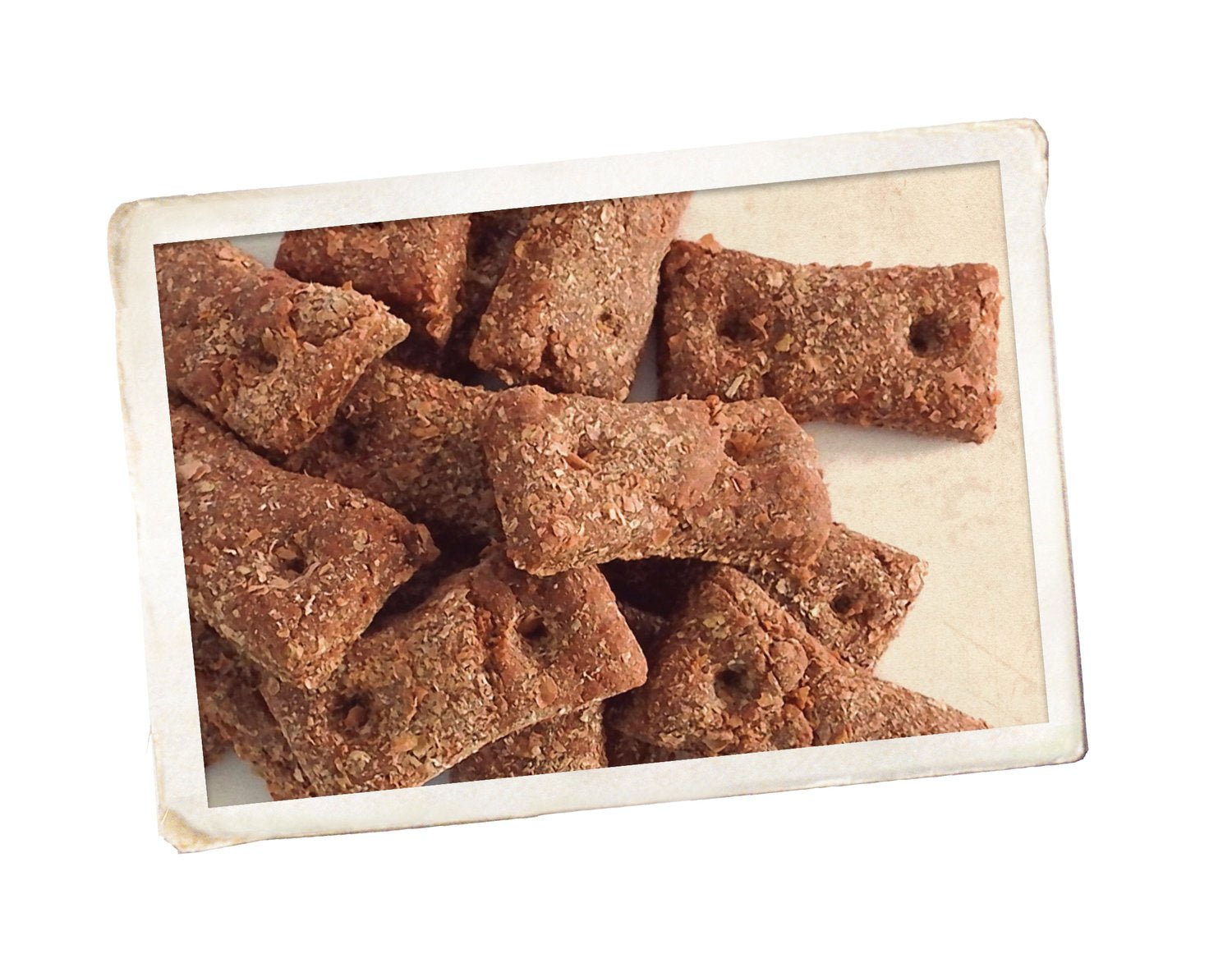 Radical Dog Biscuits - Tuck In Healthy Pet Food & Animal Natural Health Supplies