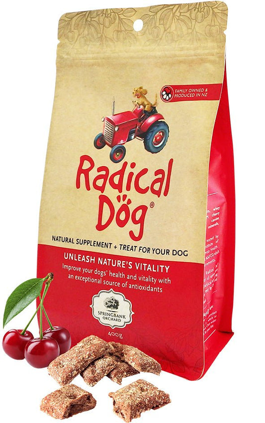 Radical Dog Biscuits - Tuck In Healthy Pet Food & Animal Natural Health Supplies