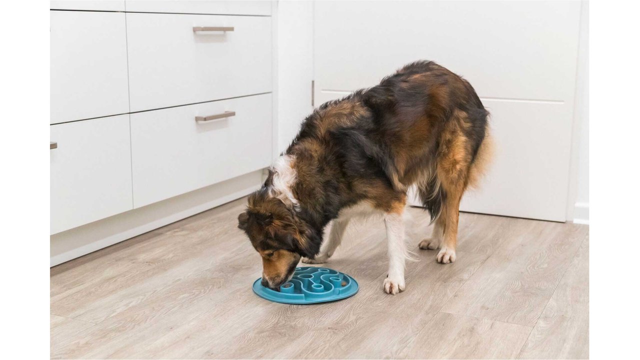 Trixie Slow Feeding Mat - 28cm - Tuck In Healthy Pet Food & Animal Natural Health Supplies