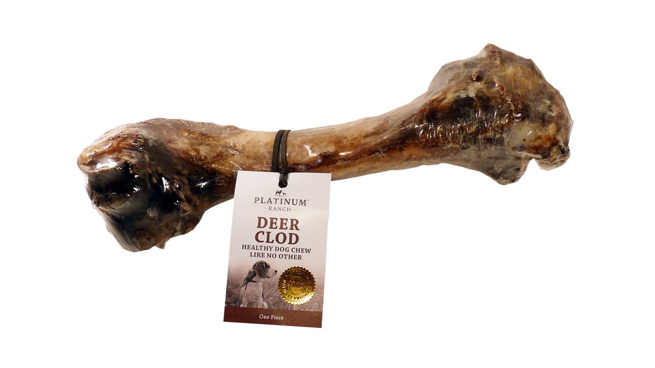 Whole Venison Bone - Tuck In Healthy Pet Food & Animal Natural Health Supplies